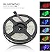 Blue Wind IP65 Waterproof 5M/16.4 Ft RGB SMD 3528 LED Color Changing 300 LED Flexible Strip Light + 24 Key IR Remote Control+ 12V 2A Power Supply