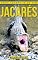 Livro Jacarés: Fotos Incríveis e Factos Divertidos sobre Jacarés para Crianças (Série Lembra-Te De Mim)