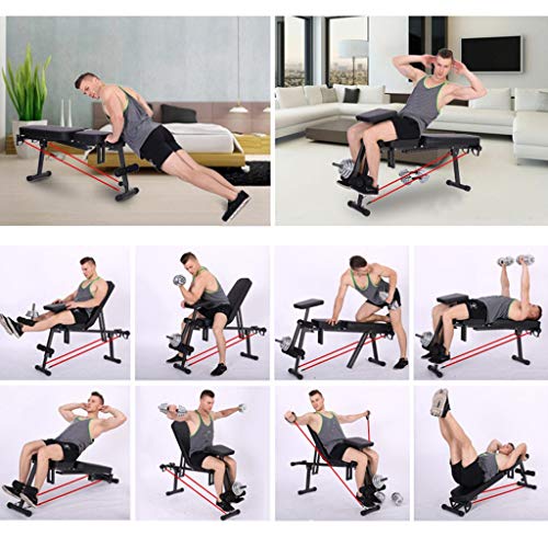 Roman Chair Weight Bench Adjustable AB Sit Up Bench Back