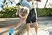 Hydro Flask 12 oz Kids Water Bottle - Multiple Colors