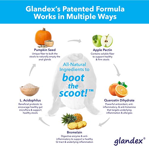 Glandex Anal Gland Support Kit Fiber Supplement for Dogs with Pumpkin, Digestive Enzymes