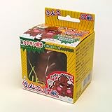 うんこ石鹸 【ボディソープ】