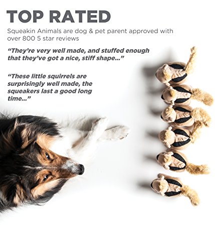 Outward Hound Squeakin' Animals Dog Toys - Image 3