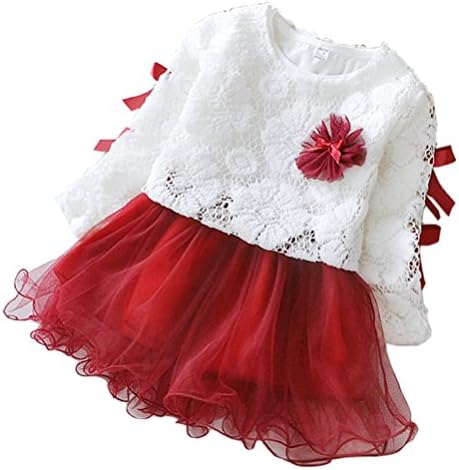 2 - Piece Baby Girls Long Sleeve Princess Flower Dress