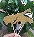 30 Pack Gold Glitter Jungle Animal Toppers Cupcake Picks Jungle Animals for Jungle safari Animals Party Baby Showers Birthday Party Cake Decorations