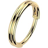 Pierced Owl 20GA 316L Stainless Steel Double Hoop Hinged Segment Clicker Ring