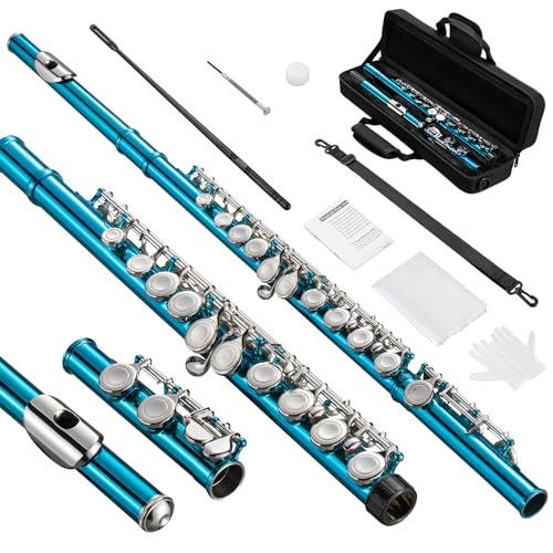 POGOLAB Flöte, C Flute mit geschlossenem Loch, Schülerflöte mit Offset-G, Flötentasche/Flötenreinigungsset/Probestab/Handschuhe/Fett, Nickelflöte für Schulband-