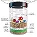 Terrarium Kit for Kids - Girls or Boys Science Kits - Stem Toys With Light Up Night Lights - DIY Craft Educational Garden Discovery Toy For Age 4 5 6 7 8 9