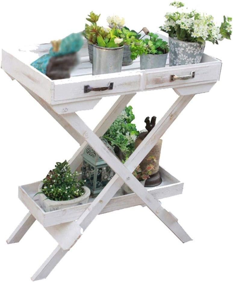 qazwsx Soporte Vertical de Madera para Maceta con decoración de Estante