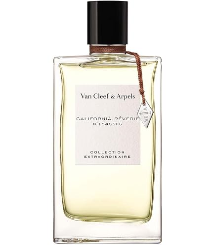 Amazon.com : Van Cleef & Arpels Moonlight Patchouli Eau de Parfum
