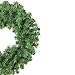 Northlight Colorado Spruce 2-Tone Artificial X-Mas Wreath, Green