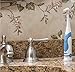 Doctor Plotka's Mouthwatchers Antimicrobial Floss Bristle Silver Electric Power Toothbrush, Blue