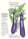 Long Purple Eggplant Seeds - 500 mg - Heirloom