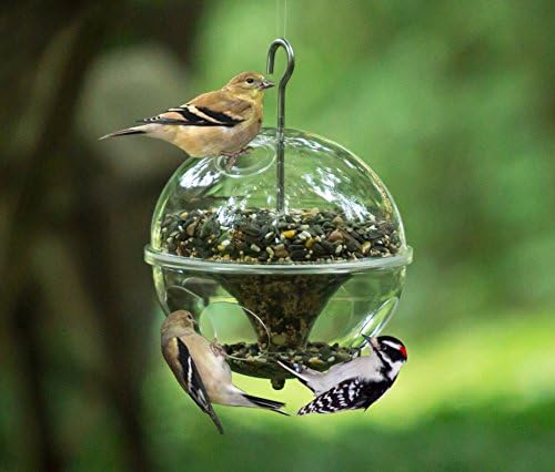 Fine Feathers Hanging Wild Bird Feeder, Crystal Clear Acrylic :: Large Outdoor Globe Songbird Feeder, 7.5" Diameter :: Easy to Fill, Resists Squirrels & Pigeons, Comes with Long Metal Hanging Hook by