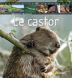 Le  castor