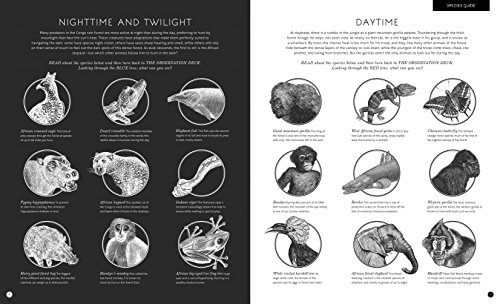 Illuminature: Discover 180 Animals with your Magic Three Color Lens (See 3 images in 1)