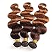 2 Tone Ombre Hair 3 Bundles With Closure Brazilian Virgin Hair Body Weft Human Hair Extensions T4/30 Medium Brown/Medium Auburn (20 22 24with18)