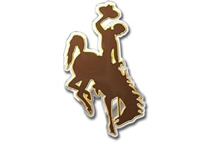 FANMATS NCAA Auto Color Emblem