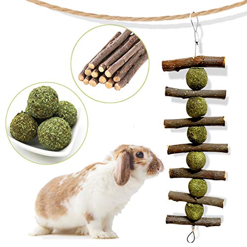 Bunny Chew Toys for Teeth, Natural Organic Apple Sticks for Rabbits