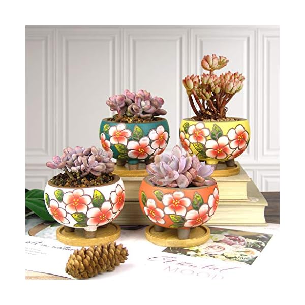 Summer Impressions 3.5 Inch Hand Painted Round Ceramic Succulent Cactus