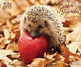(18x22) Friends in the Garden - 2013 Decor Poster Wall Calendar by 