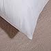 EVERMARKET Square Sham Stuffer Hypo-Allergenic Poly Pillow Form Insert Pure White, 16
