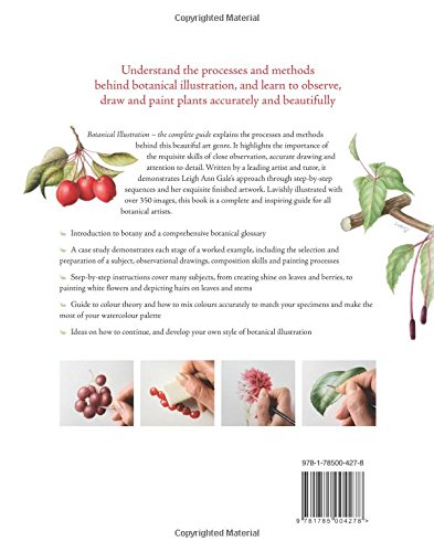 Botanical Illustration: The Complete Guide