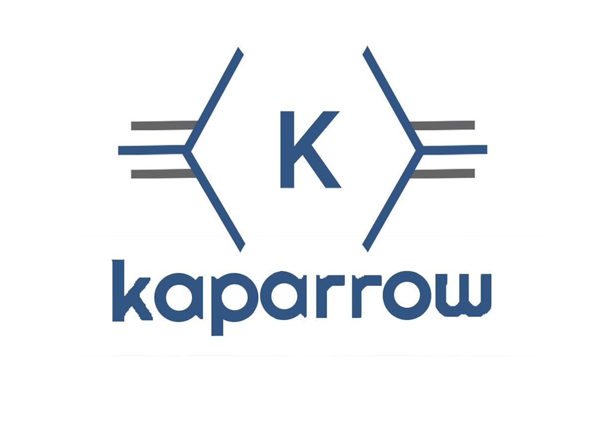 kapparow women's stylish casual and office use good quality shoulder and hand bag