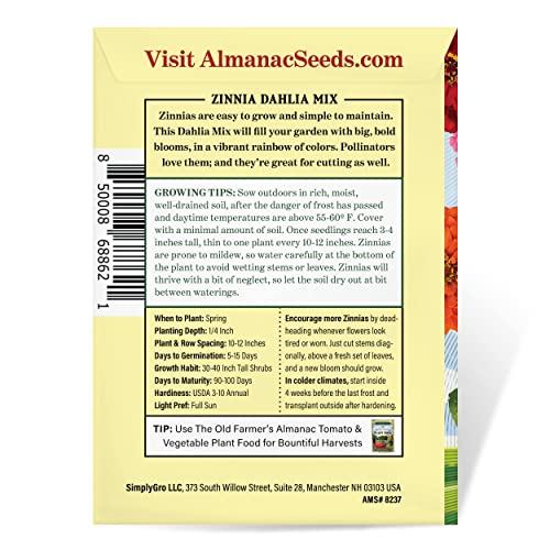 The Old Farmer's Almanac Zinnia Seeds (Dahlia Mix) Approx 200 Flower Seeds Premium NonGMO