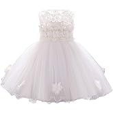 ODASDO Baby Girl Flower Dress Infant Wedding Bridesmaid Birthday Party Pageant Tutu Tulle Princess Dresses for 6-24M