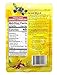 Brothers-ALL-Natural Fruit Crisps, Mickey Mouse Clubhouse Variety, 0.36 Ounce (Pack of 12)