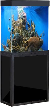 Amazon Com Jajale 40 Gallon Aquarium Fish Tank Led Light Pump Freshwater Filter Upright Fishtank Stand Bundle Straight Corners Ultra Clear Tempered Glass With Complete Aquarium Setup All Black Pet Supplies