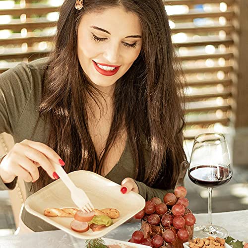 Better Than Bamboo 50 8 Disposable Square Palm Leaf Plates 100 