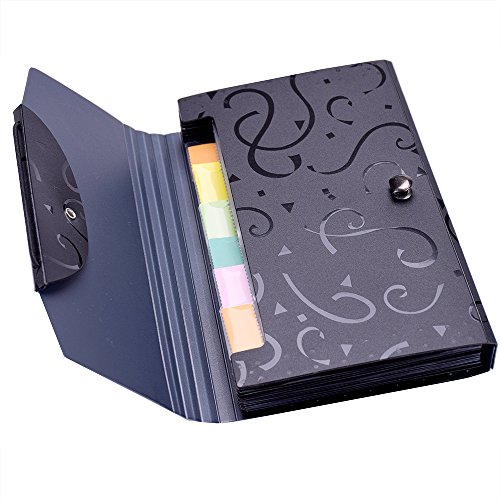 Goblin's Treasures 13 Pockets A6 Rainbow Expanding Folder A6 Mini Index File Folder (A6 File Folder) (metal gray)