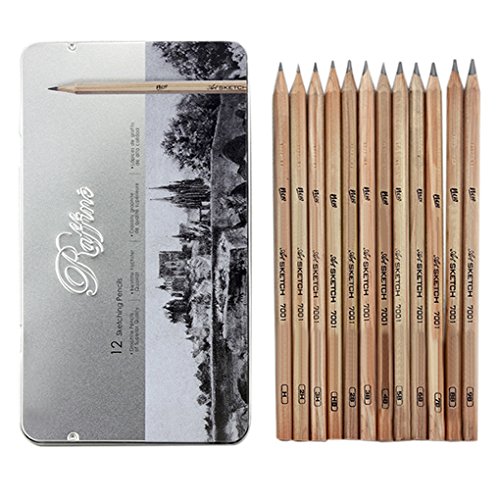 Drawing Pencils,Art Pencils Sketch Travel Set 12 Pcs Artist Sketch Drawing Kit 9B 8B 7B 6B 5B 4B 3B 2B HB H 2H 3H Wooden Graphite Pencil Drawings with Case Artists Drafting Sketch Pencil Set
