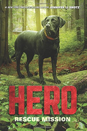 Hero: Rescue Mission