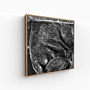 Canvas Wall Art for Living Room, Bedroom Silence Framed Canvas Prints for Home Decoration Ready to Hang - 16x16 inches