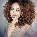 MISSQUEEN 2 Tone Ombre Wig Black to Brown Synthetic Kinky Curly Wigs for Black Women Heat Resistant Fiber.