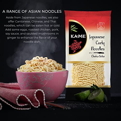 KAME Japanese Curly Noodles 5 oz Pricepulse