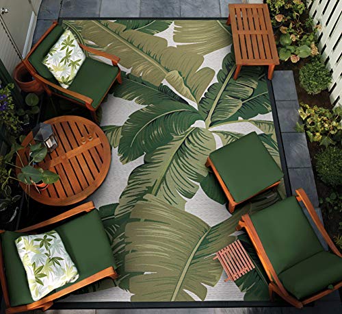 Couristan-Dolce-Palm-Lily-IndoorOutdoor-Area-Rug-4-x-510-Hunter-GreenIvory 518Kzd0TehL