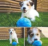 Magic Roller Ball Toy Automatic Roller Ball Magic Ball Dog Cat Pet Toy (1 Rolling Ball + 4 Color Ball Cover)