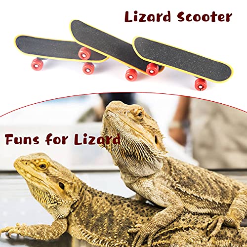 bearded dragon accessories