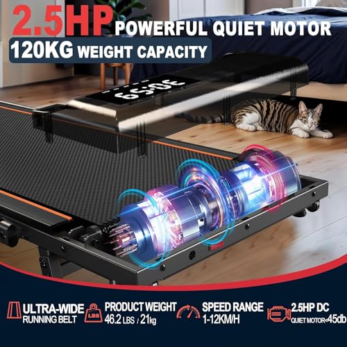 Inclining treadmill walking pad: with 2.25 CV/2.5 HP motor, treadmill capacity 100 kg/120 kg, speed of 1-6 km/h/1-12 km/h, inclination of 7%
