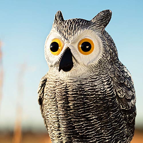 Fake Owl Decoy and Bird Deterrent Set of 3 Plastic Owl to Scare Birds