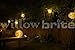 Willowbrite Globe (12