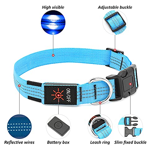 PZRLit LED Dog Collar Light-USB Rechargeable, Adjustable Nylon Webbing Light Up Dog Collars Super Bright, Safety Reflective Puppy Collar, Water Resistant Ｇlow in the Ｄark Pet Collars-Blue, Large