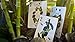 Bicycle Panda Playing Cards