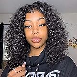 Wowsexy Hair Brazilian Virgin Hair Remy Wigs Curly Lace Front Wigs Human Hair with Baby Hair for Black Women African Americans Wigs Pre Plucked Hairline