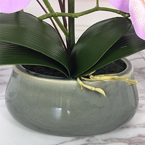 image for Livilan Romantic Lifelike Silk Orchid with Decorative Ceramic Vase,Lar