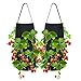 FLYING TIGER Planting Grow Bag, Hanging Design Gallon Strawberry Grow Bags 8 Grow Bag Fabric Plant Grow Pot Black Planter Bagthumb 3